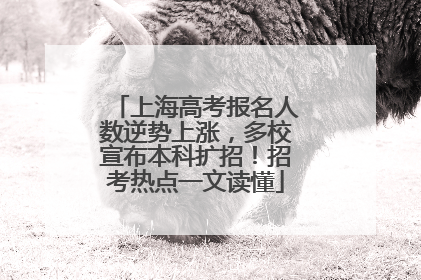 上海高考报名人数逆势上涨，多校宣布本科扩招！招考热点一文读懂