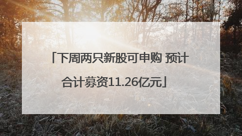 下周两只新股可申购 预计合计募资11.26亿元