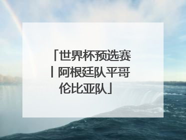 世界杯预选赛丨阿根廷队平哥伦比亚队