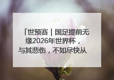 世预赛｜国足提前无缘2026年世界杯，与其悲伤，不如尽快从选帅开始重建