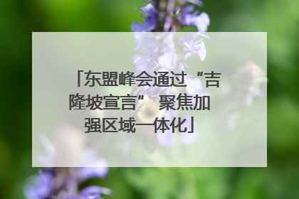 东盟峰会通过“吉隆坡宣言” 聚焦加强区域一体化