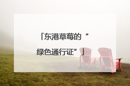 东港草莓的“绿色通行证”