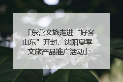 东营文旅走进“好客山东”开封、沈阳夏季文旅产品推广活动