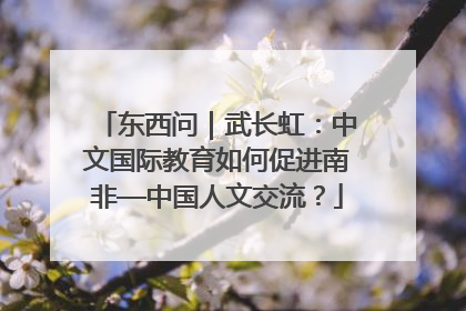 东西问｜武长虹：中文国际教育如何促进南非—中国人文交流？