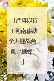 严阵以待！海南移动全力迎战台风“蝴蝶”