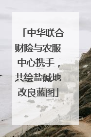 中华联合财险与农服中心携手，共绘盐碱地改良蓝图