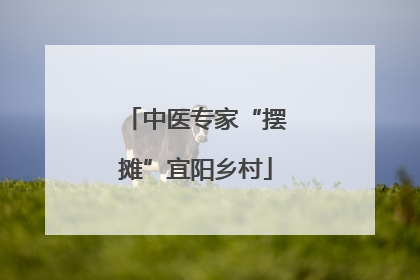 中医专家“摆摊”宜阳乡村