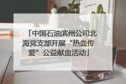 中国石油滨州公司北海党支部开展“热血传爱”公益献血活动