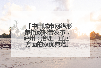 中国城市网络形象指数报告发布，泸州：治理、宜居方面的双优典范