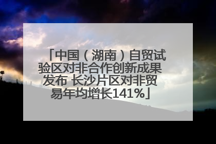 中国（湖南）自贸试验区对非合作创新成果发布 长沙片区对非贸易年均增长141%