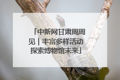 中新网甘肃周周见｜丰富多样活动探索博物馆未来