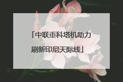 中联重科塔机助力刷新印尼天际线