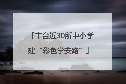 丰台近30所中小学建“彩色学安路”