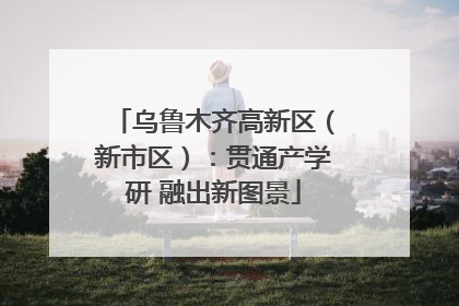 乌鲁木齐高新区（新市区）：贯通产学研 融出新图景