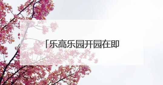 乐高乐园开园在即，上海金山如何让游客吃好住玩得好？