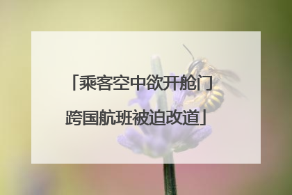 乘客空中欲开舱门 跨国航班被迫改道