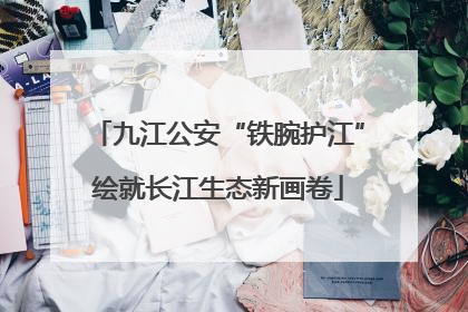 九江公安“铁腕护江”绘就长江生态新画卷