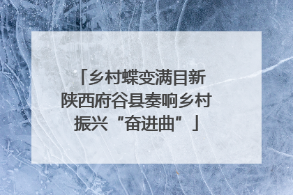 乡村蝶变满目新 陕西府谷县奏响乡村振兴“奋进曲”