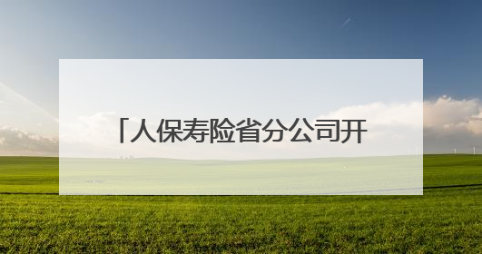 人保寿险省分公司开展2025年全民国家安全教育日宣传活动