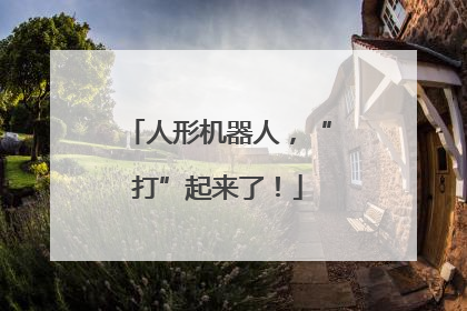 人形机器人，“打”起来了！