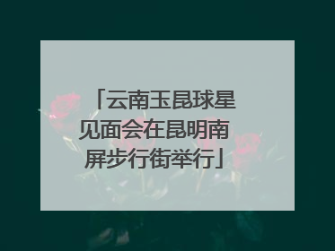 云南玉昆球星见面会在昆明南屏步行街举行