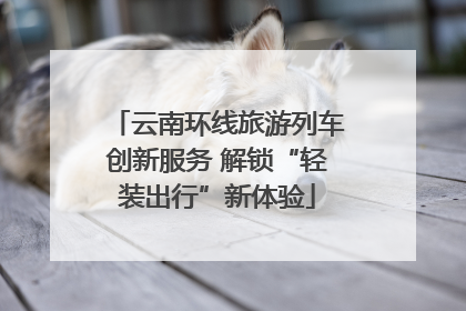 云南环线旅游列车创新服务 解锁“轻装出行”新体验