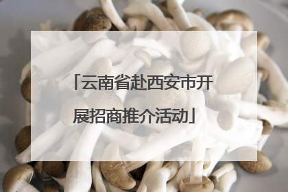 云南省赴西安市开展招商推介活动
