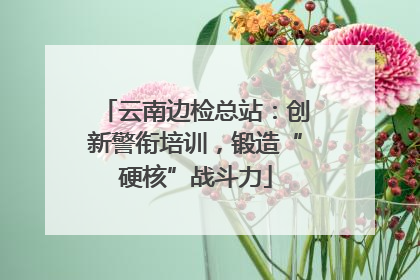 云南边检总站：创新警衔培训，锻造“硬核”战斗力