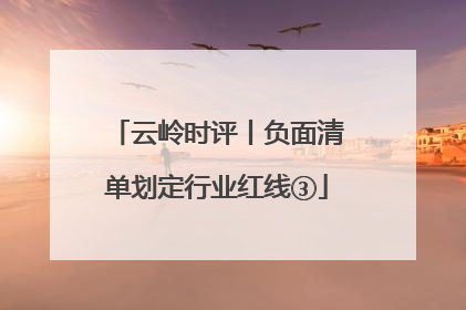 云岭时评丨负面清单划定行业红线③