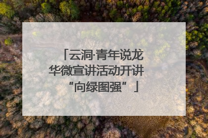 云洞·青年说龙华微宣讲活动开讲“向绿图强”