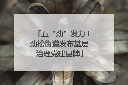五“劲”发力！劲松街道发布基层治理党建品牌