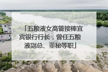 五粮液女高管接棒宜宾银行行长，曾任五粮液副总、董秘等职