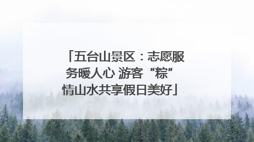 五台山景区：志愿服务暖人心 游客“粽”情山水共享假日美好
