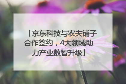京东科技与农夫铺子合作签约，4大领域助力产业数智升级