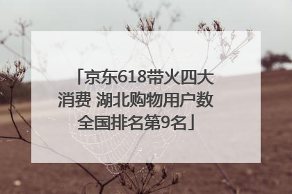 京东618带火四大消费 湖北购物用户数全国排名第9名