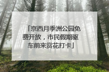 京西月季洲公园免费开放，市民假期驱车前来赏花打卡