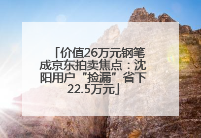 价值26万元钢笔成京东拍卖焦点：沈阳用户“捡漏”省下22.5万元