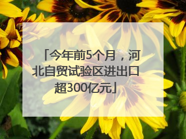 今年前5个月，河北自贸试验区进出口超300亿元