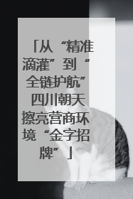 从“精准滴灌”到“全链护航” 四川朝天擦亮营商环境“金字招牌”