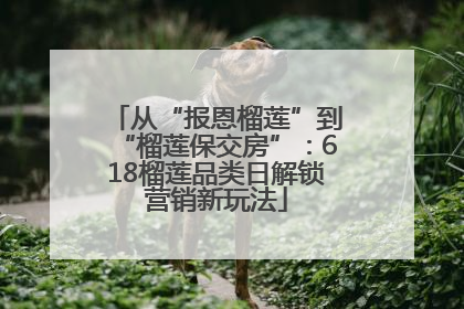从“报恩榴莲”到“榴莲保交房”：618榴莲品类日解锁营销新玩法