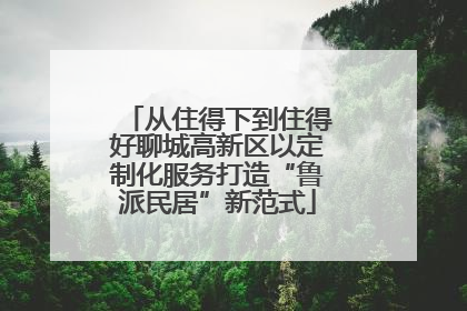 从住得下到住得好聊城高新区以定制化服务打造“鲁派民居”新范式