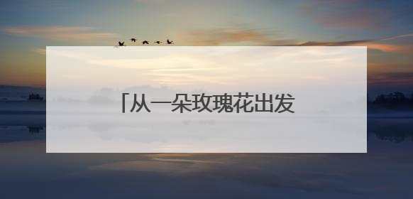 从一朵玫瑰花出发，这群年轻人从一花一叶走进东方哲学