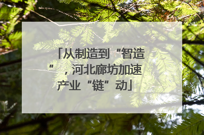 从制造到“智造”，河北廊坊加速产业“链”动