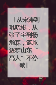 从宋涛到巩晓彬，从张子宇到杨瀚森，篮球逐梦山东“高人”不停歇