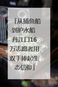 从捕鱼船到护水船 丹江口16万志愿者用双手捧起生态信仰