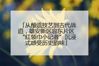 从酿造技艺到古代战道，雄安新区容东片区“红领巾小记者”沉浸式感受历史韵味