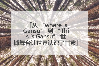从 “where is Gansu” 到 “This is Gansu” 世博舞台让世界认识了甘肃