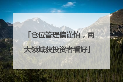 仓位管理偏谨慎，两大领域获投资者看好