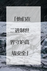 他们在二进制世界守护高墙安全