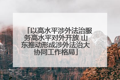 以高水平涉外法治服务高水平对外开放 山东推动形成涉外法治大协同工作格局
